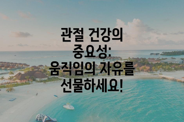 관절 건강의 중요성: 움직임의 자유를 선물하세요!