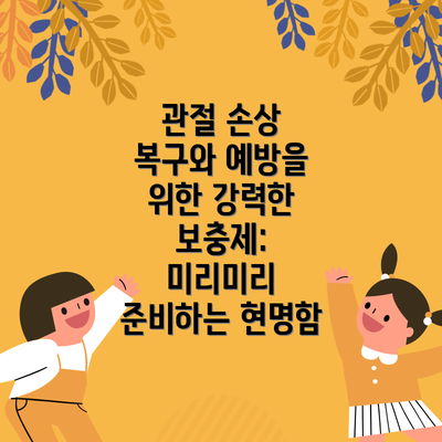 관절 손상 복구와 예방을 위한 강력한 보충제:  미리미리 준비하는 현명함
