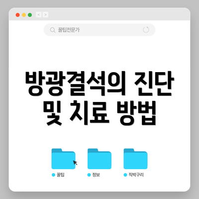 방광결석의 진단 및 치료 방법