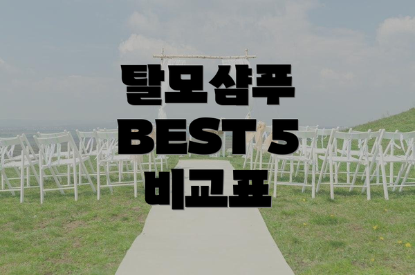탈모샴푸 BEST 5 비교표