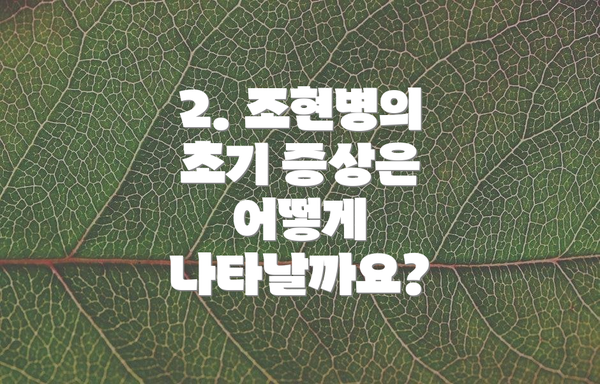2. 조현병의 초기 증상은 어떻게 나타날까요?