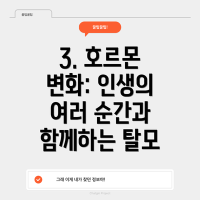 3. 호르몬 변화: 인생의 여러 순간과 함께하는 탈모