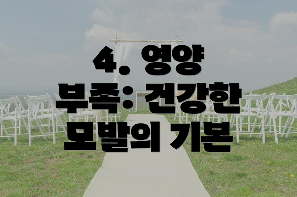 4. 영양 부족: 건강한 모발의 기본