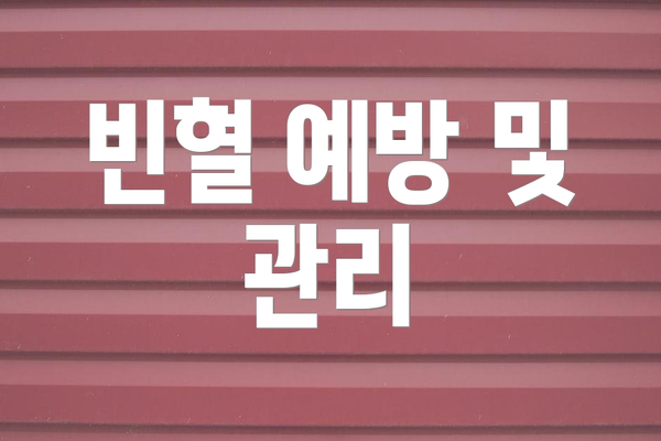 빈혈 예방 및 관리