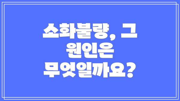 소화불량, 그 원인은 무엇일까요?