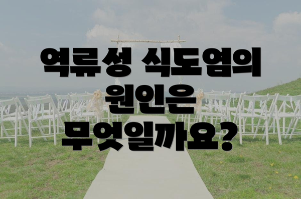역류성 식도염의 원인은 무엇일까요?