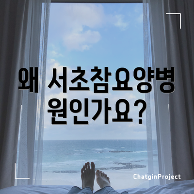 왜 서초참요양병원인가요?