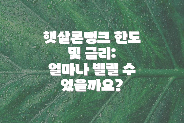 햇살론뱅크 한도 및 금리: 얼마나 빌릴 수 있을까요?