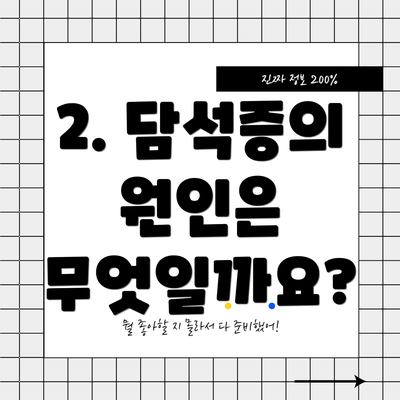 2. 담석증의 원인은 무엇일까요?