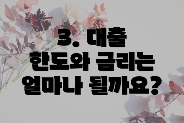 3. 대출 한도와 금리는 얼마나 될까요?