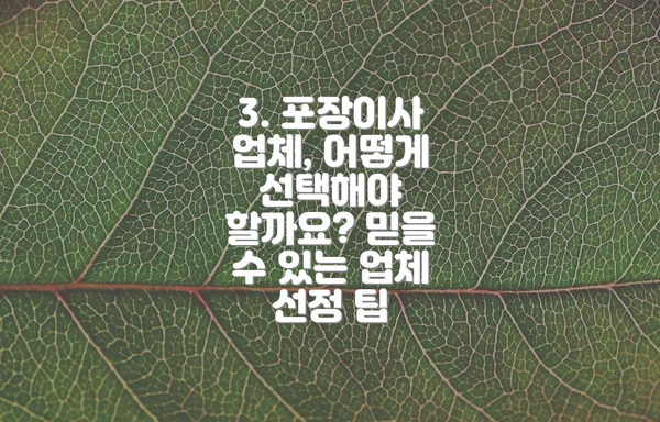 3. 포장이사 업체, 어떻게 선택해야 할까요? 믿을 수 있는 업체 선정 팁