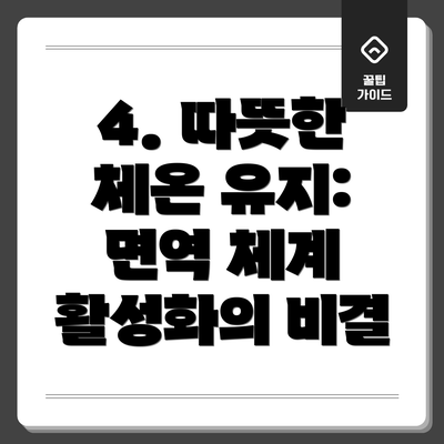 4. 따뜻한 체온 유지: 면역 체계 활성화의 비결