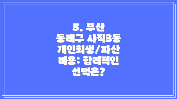 5. 부산 동래구 사직3동 개인회생/파산 비용: 합리적인 선택은?