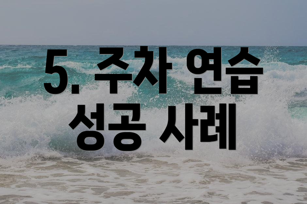 5. 주차 연습 성공 사례