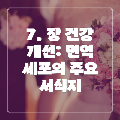 7. 장 건강 개선: 면역 세포의 주요 서식지