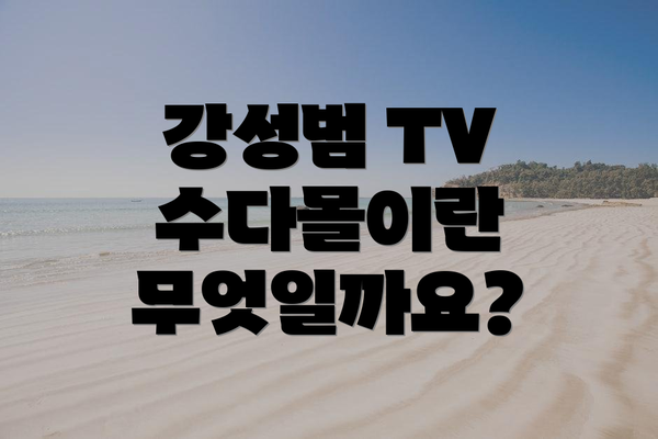 강성범 TV 수다몰이란 무엇일까요?