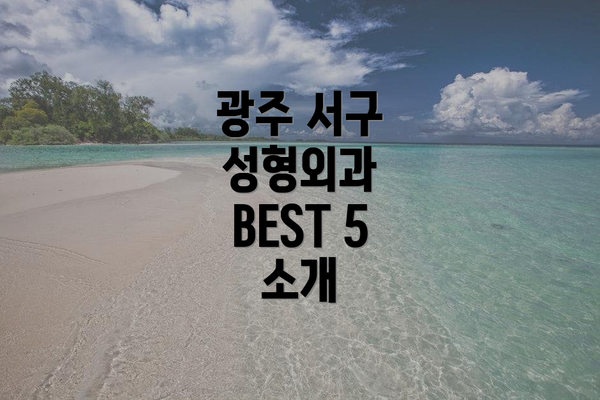 광주 서구 성형외과 BEST 5 소개