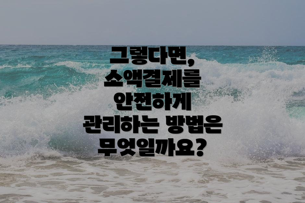 그렇다면, 소액결제를 안전하게 관리하는 방법은 무엇일까요?