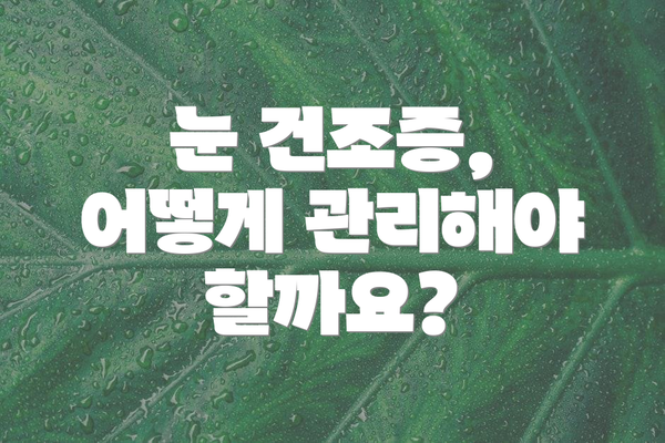 눈 건조증, 어떻게 관리해야 할까요?
