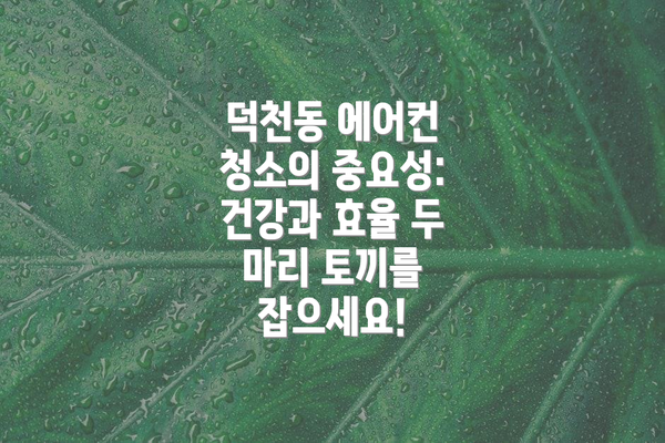 덕천동 에어컨 청소의 중요성: 건강과 효율 두 마리 토끼를 잡으세요!