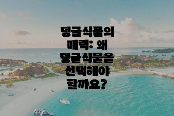 덩굴식물의 매력: 왜 덩굴식물을 선택해야 할까요?