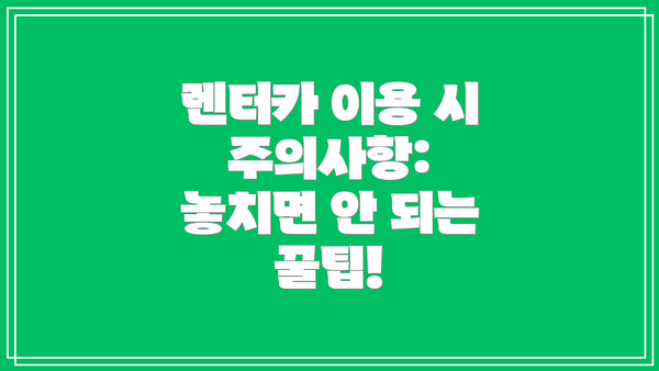 렌터카 이용 시 주의사항: 놓치면 안 되는 꿀팁!