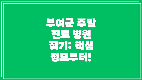 부여군 주말 진료 병원 찾기: 핵심 정보부터!