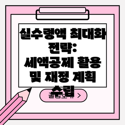 실수령액 최대화 전략:  세액공제 활용 및 재정 계획 수립