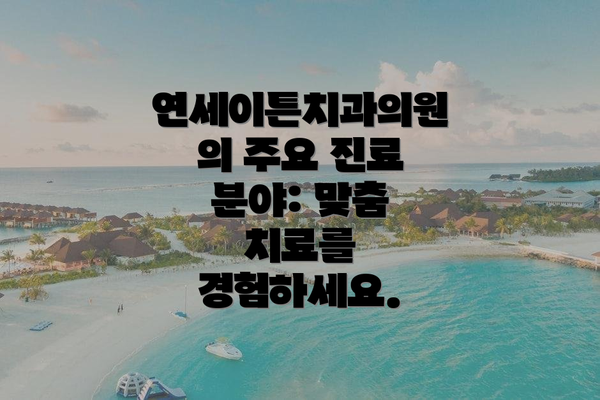 연세이튼치과의원의 주요 진료 분야: 맞춤 치료를 경험하세요.