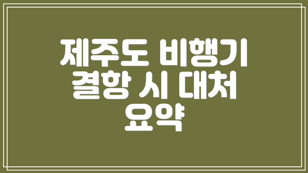 제주도 비행기 결항 시 대처 요약