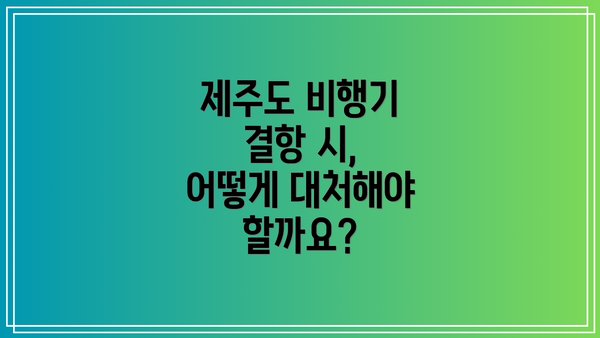 제주도 비행기 결항 시, 어떻게 대처해야 할까요?