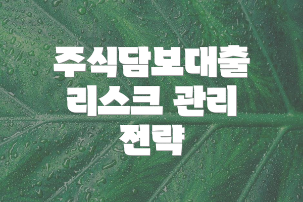 주식담보대출 리스크 관리 전략