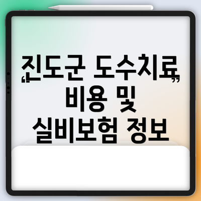 진도군 도수치료 비용 및 실비보험 정보