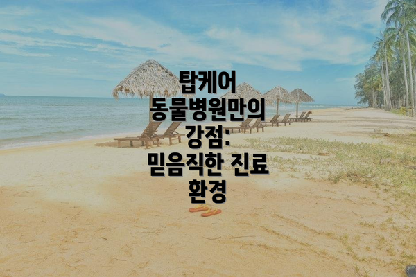 탑케어 동물병원만의 강점:  믿음직한 진료 환경