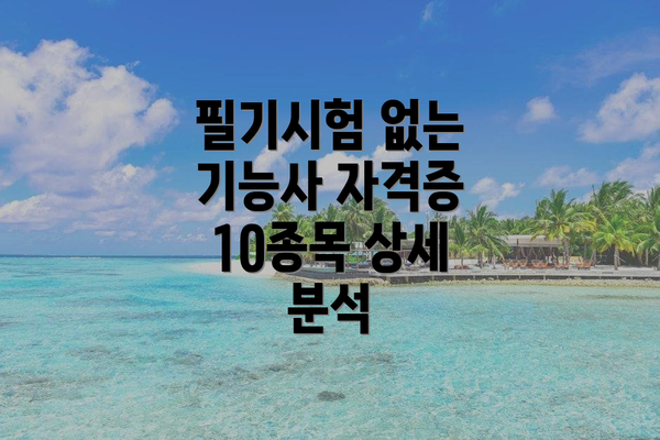 필기시험 없는 기능사 자격증 10종목 상세 분석