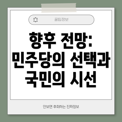 향후 전망: 민주당의 선택과 국민의 시선