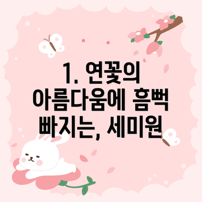 1. 연꽃의 아름다움에 흠뻑 빠지는, 세미원