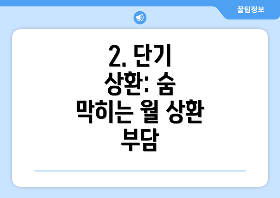 2. 단기 상환: 숨 막히는 월 상환 부담