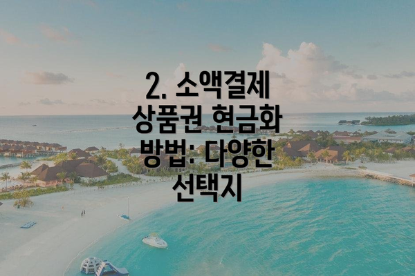 2. 소액결제 상품권 현금화 방법: 다양한 선택지