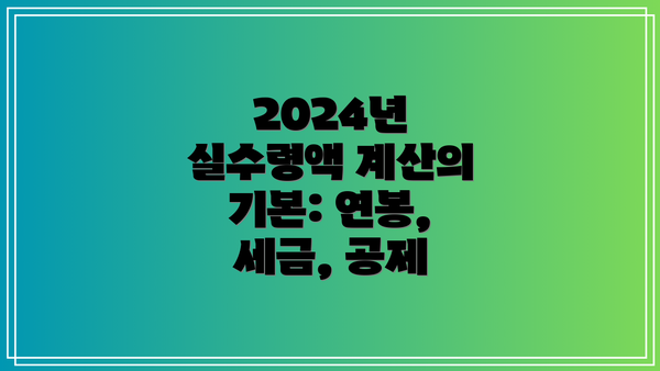 2024년 실수령액 계산의 기본: 연봉, 세금, 공제