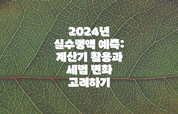 2024년 실수령액 예측:  계산기 활용과 세법 변화 고려하기