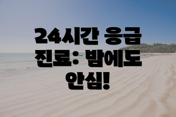 24시간 응급 진료: 밤에도 안심!