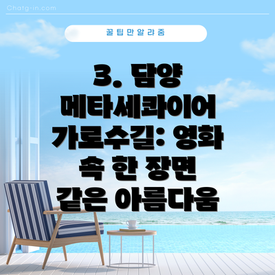 3. 담양 메타세콰이어 가로수길: 영화 속 한 장면 같은 아름다움