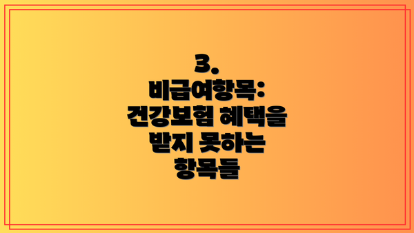 3. 비급여항목: 건강보험 혜택을 받지 못하는 항목들