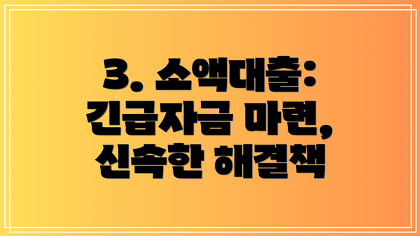 3. 소액대출: 긴급자금 마련, 신속한 해결책