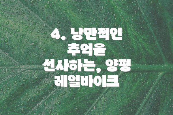 4. 낭만적인 추억을 선사하는, 양평 레일바이크