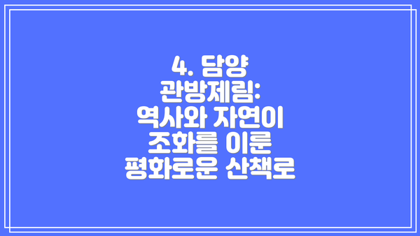 4. 담양 관방제림: 역사와 자연이 조화를 이룬 평화로운 산책로