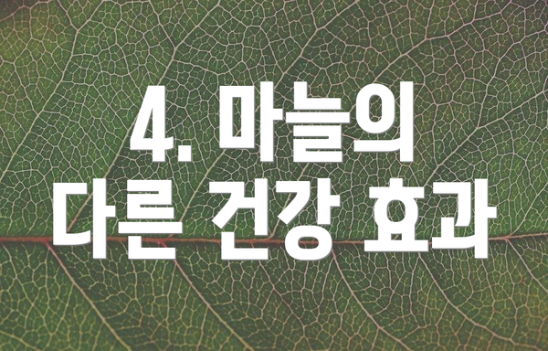 4. 마늘의 다른 건강 효과