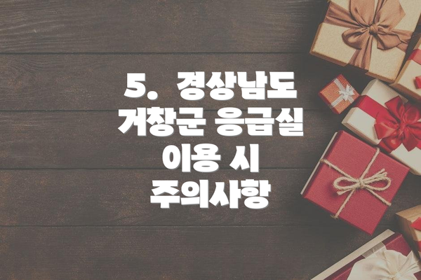 5.  경상남도 거창군 응급실 이용 시 주의사항