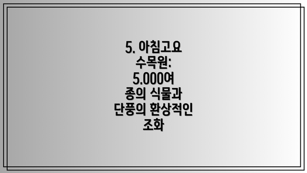 5. 아침고요 수목원: 5.000여 종의 식물과 단풍의 환상적인 조화